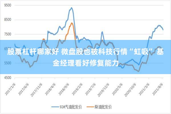 股票杠杆哪家好 微盘股也被科技行情“虹吸” 基金经理看好修复能力
