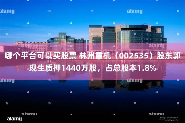 哪个平台可以买股票 林州重机（002535）股东郭现生质押1440万股，占总股本1.8%