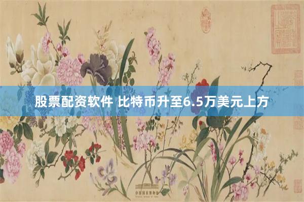 股票配资软件 比特币升至6.5万美元上方