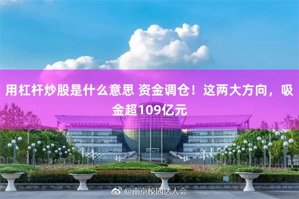 用杠杆炒股是什么意思 资金调仓！这两大方向，吸金超109亿元