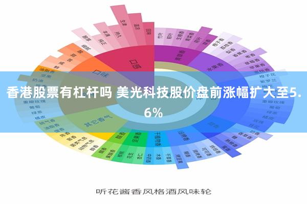 香港股票有杠杆吗 美光科技股价盘前涨幅扩大至5.6%
