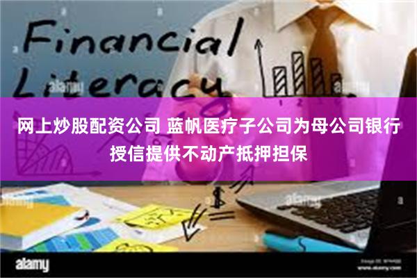 网上炒股配资公司 蓝帆医疗子公司为母公司银行授信提供不动产抵押担保