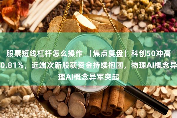股票短线杠杆怎么操作 【焦点复盘】科创50冲高回落涨0.81%，近端次新股获资金持续抱团，物理AI概念异军突起