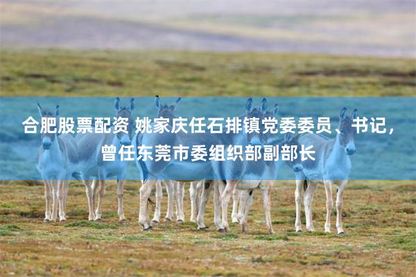 合肥股票配资 姚家庆任石排镇党委委员、书记，曾任东莞市委组织部副部长