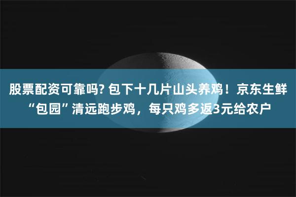 股票配资可靠吗? 包下十几片山头养鸡!京东生鲜“包园”清远跑步鸡,每只鸡多返3元给农户