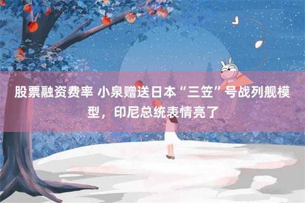 股票融资费率 小泉赠送日本“三笠”号战列舰模型,印尼总统表情亮了