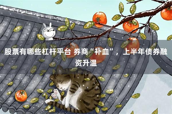股票有哪些杠杆平台 券商“补血”,上半年债券融资升温