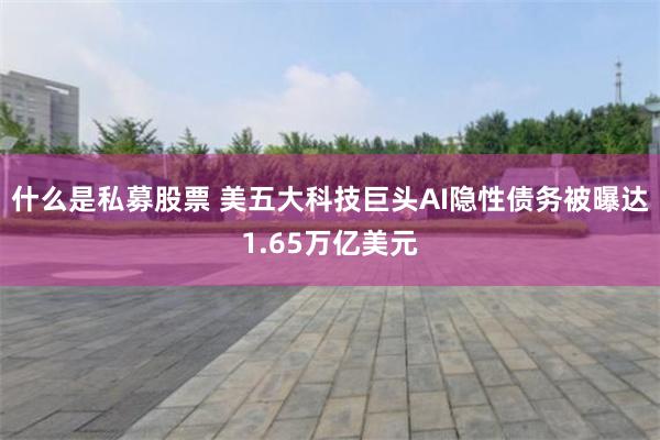 什么是私募股票 美五大科技巨头AI隐性债务被曝达1.65万亿美元