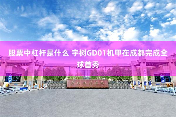 股票中杠杆是什么 宇树GD01机甲在成都完成全球首秀