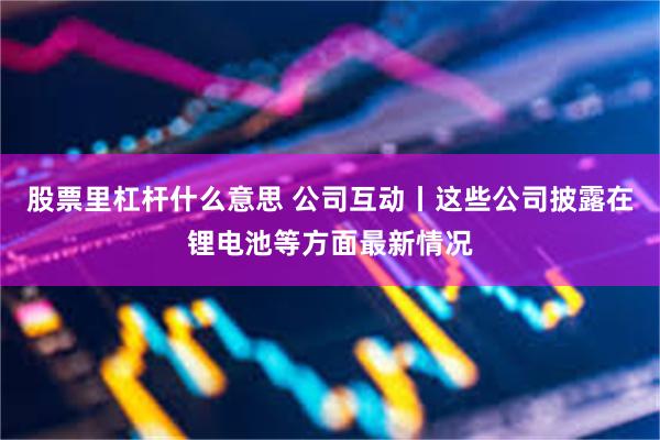 股票里杠杆什么意思 公司互动丨这些公司披露在锂电池等方面最新情况