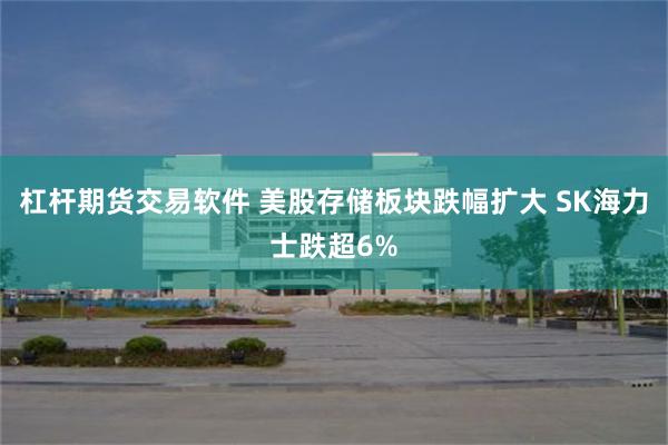 杠杆期货交易软件 美股存储板块跌幅扩大 SK海力士跌超6%