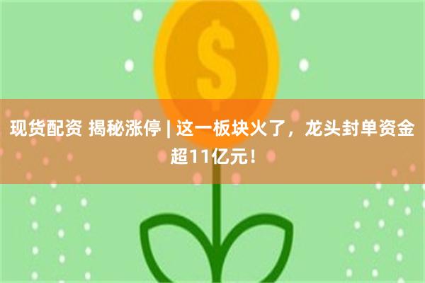 现货配资 揭秘涨停 | 这一板块火了，龙头封单资金超11亿元！