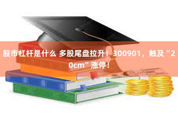 股市杠杆是什么 多股尾盘拉升！300901，触及“20cm”涨停！