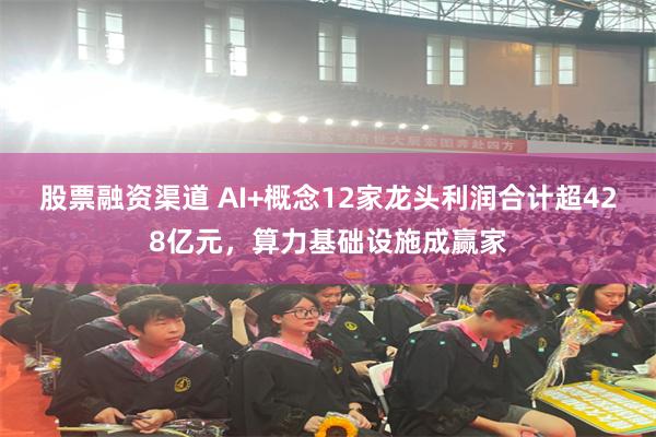 股票融资渠道 AI+概念12家龙头利润合计超428亿元，算力基础设施成赢家