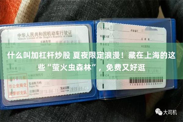 什么叫加杠杆炒股 夏夜限定浪漫!藏在上海的这些“萤火虫森林”,免费又好逛