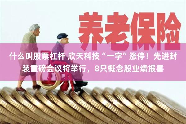 什么叫股票杠杆 欣天科技“一字”涨停！先进封装重磅会议将举行，8只概念股业绩报喜