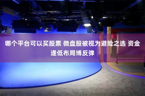 哪个平台可以买股票 微盘股被视为避险之选 资金逢低布局博反弹
