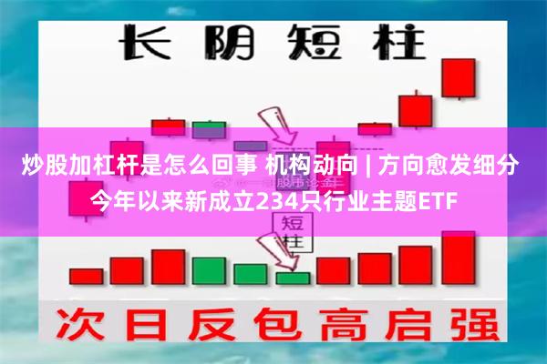 炒股加杠杆是怎么回事 机构动向 | 方向愈发细分 今年以来新成立234只行业主题ETF