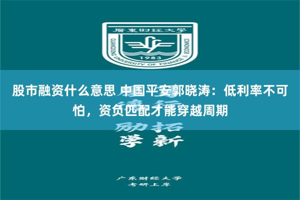 股市融资什么意思 中国平安郭晓涛：低利率不可怕，资负匹配才能穿越周期