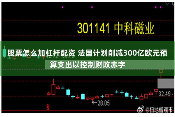 股票怎么加杠杆配资 法国计划削减300亿欧元预算支出以控制财政赤字