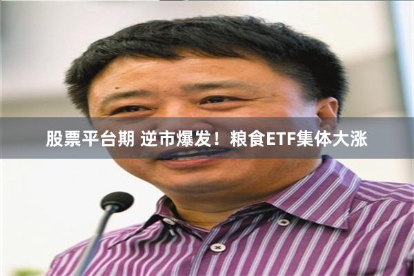 股票平台期 逆市爆发！粮食ETF集体大涨