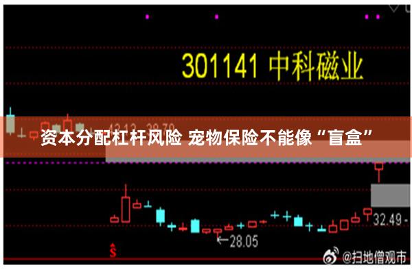 资本分配杠杆风险 宠物保险不能像“盲盒”