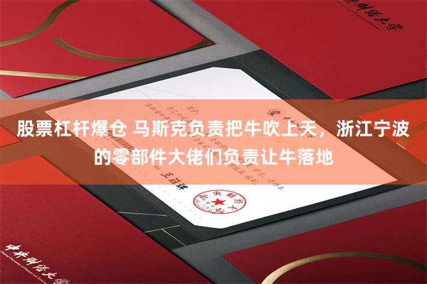 股票杠杆爆仓 马斯克负责把牛吹上天，浙江宁波的零部件大佬们负责让牛落地