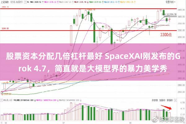 股票资本分配几倍杠杆最好 SpaceXAI刚发布的Grok 4.7，简直就是大模型界的暴力美学秀