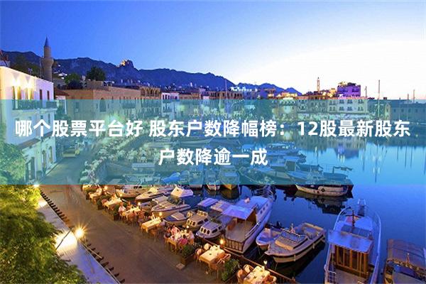 哪个股票平台好 股东户数降幅榜：12股最新股东户数降逾一成