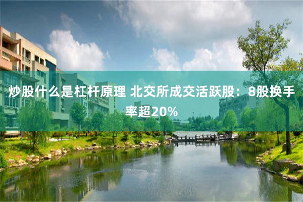 炒股什么是杠杆原理 北交所成交活跃股：8股换手率超20%
