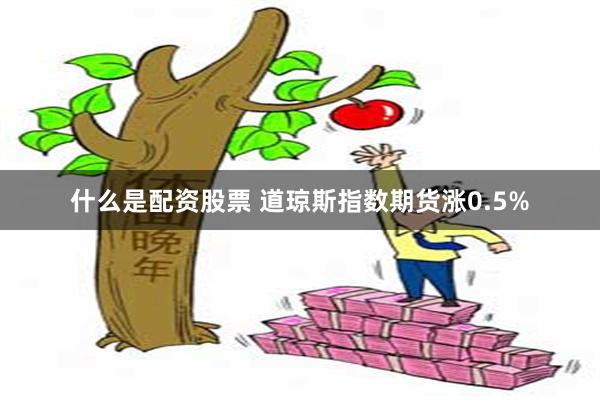 什么是配资股票 道琼斯指数期货涨0.5%
