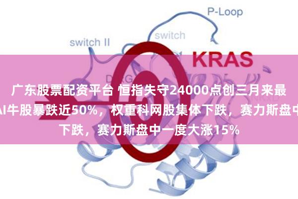 广东股票配资平台 恒指失守24000点创三月来最大跌幅，物理AI牛股暴跌近50%，权重科网股集体下跌，赛力斯盘中一度大涨15%