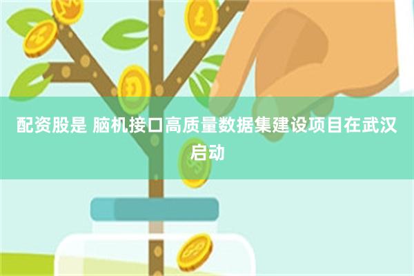 配资股是 脑机接口高质量数据集建设项目在武汉启动