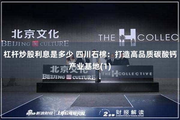 杠杆炒股利息是多少 四川石棉：打造高品质碳酸钙产业基地(1)