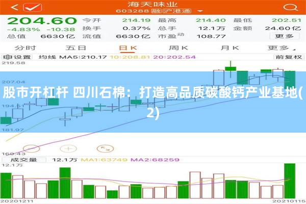 股市开杠杆 四川石棉：打造高品质碳酸钙产业基地(2)